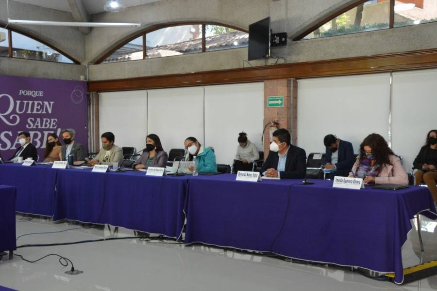 Buscan IECM y CDHCDMX fortalecer los derechos pol&iacute;tico-electorales