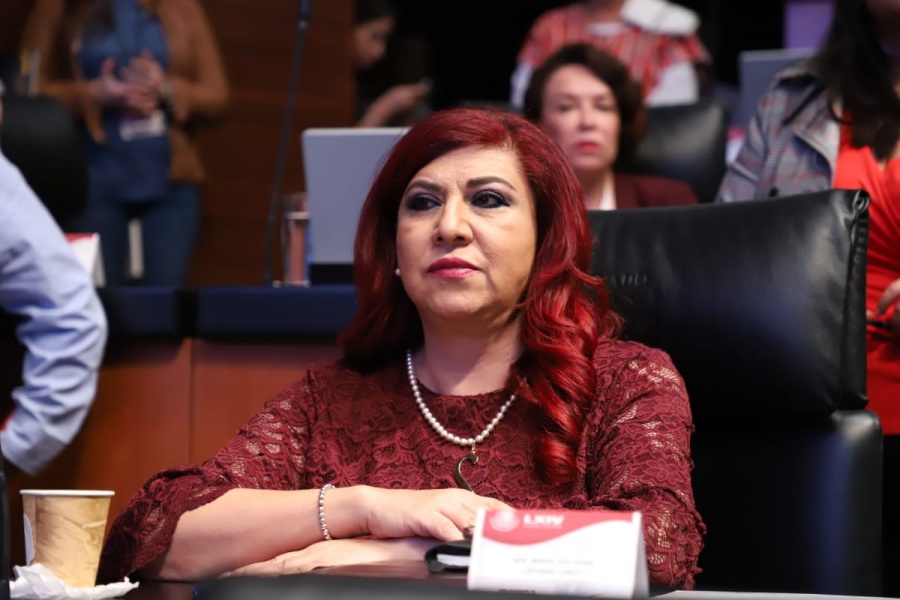 Senadora de Morena busca elecciones primarias en selección de candidatos presidenciales