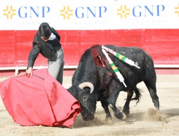 Congreso de la CDMX frena dictamen sobre corridas de toros