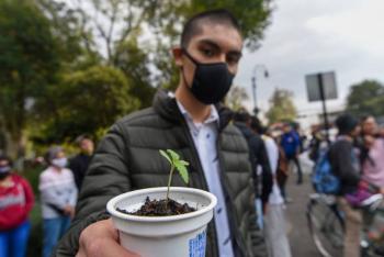 Indígenas tendrán preferencia en cultivo de marihuana, plantean