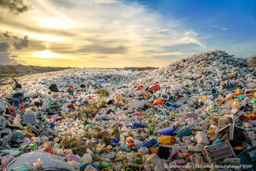 Hasta el momento 67 países aceptan iniciativa de OMC para reducir contaminación por plástico