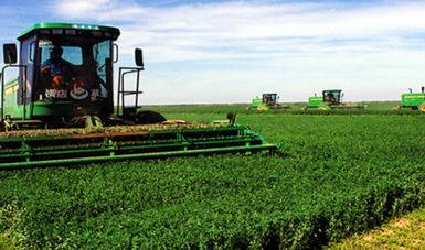 Ser&aacute; 2022 un buen a&ntilde;o para la producci&oacute;n agroalimentaria del pa&iacute;s