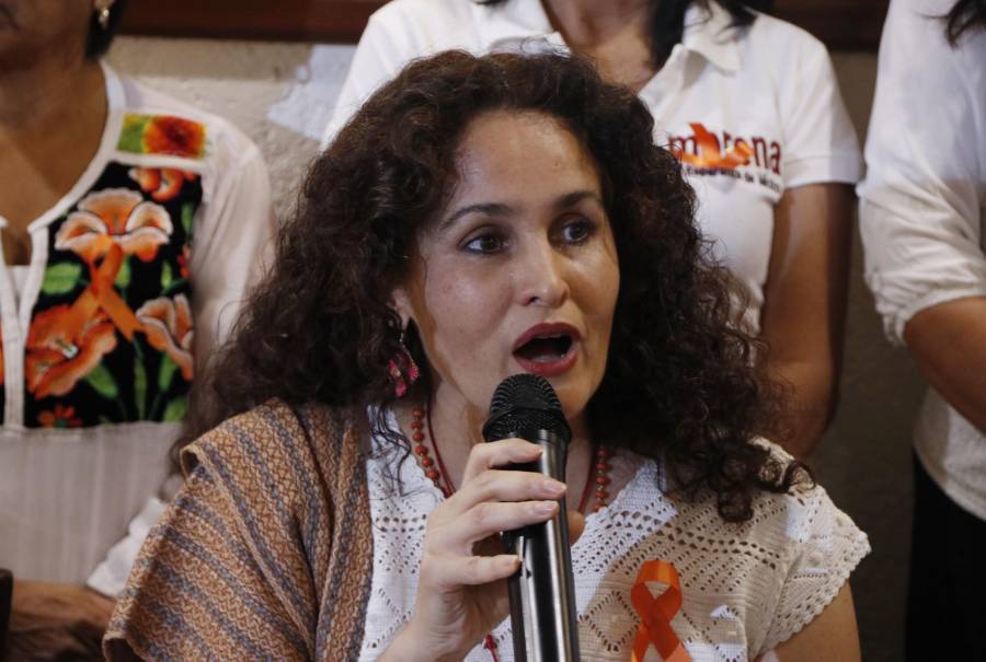 Susana Harp presenta impugnación por designación de aspirante al gobierno de Oaxaca