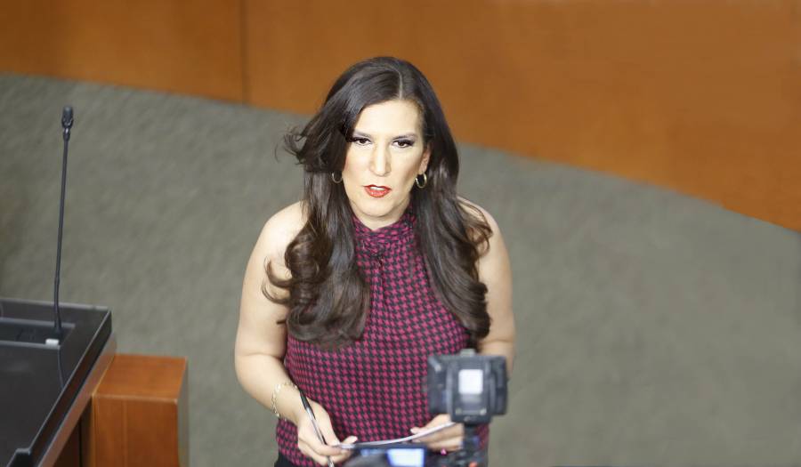 Senadora del PAN tacha de irresponsable a presidente de Cámara de Diputados