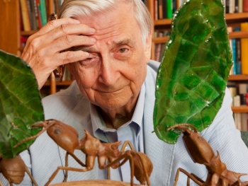 Muri&oacute; el bi&oacute;logo estadounidense E.O. Wilson, 