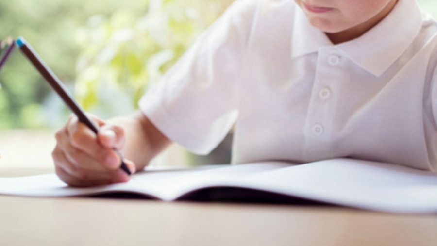 Demandan establecer centros educativos para menores superdotados