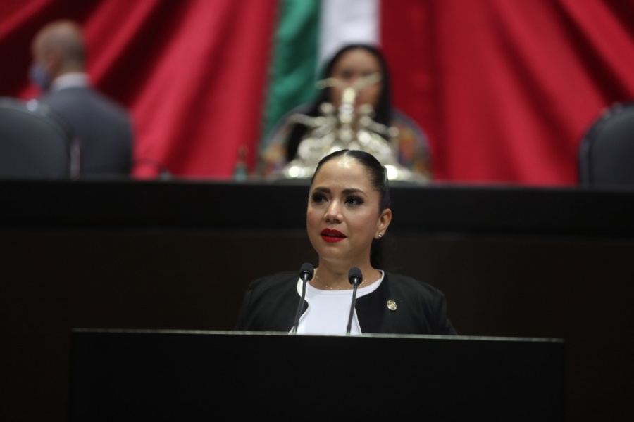 Diputada de Morena propone expedir leyes en materia de ciberseguridad y cibercrimen