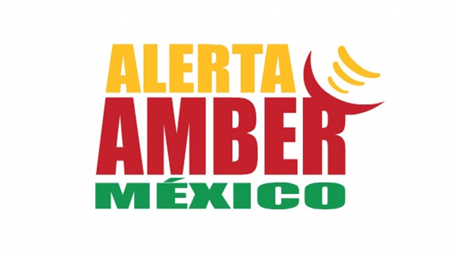 Telefónicas deben entrar a difundir Alerta Amber, plantean