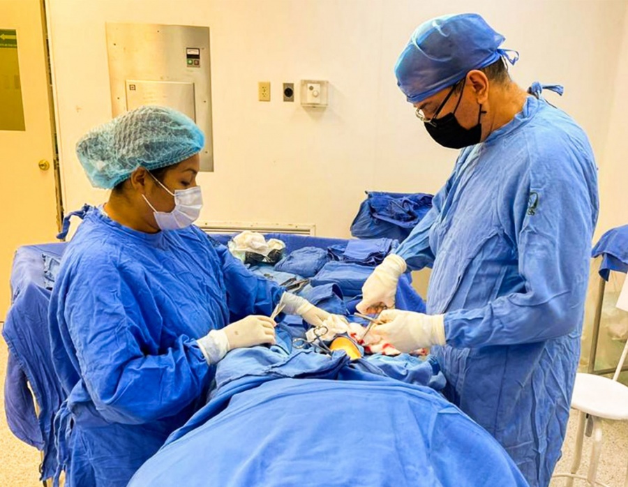 Panista pide crear catálogo de padecimientos para el sistema de salud
