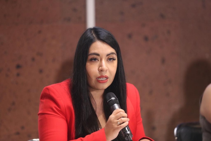 Diputada pide mayores recursos para contener migración