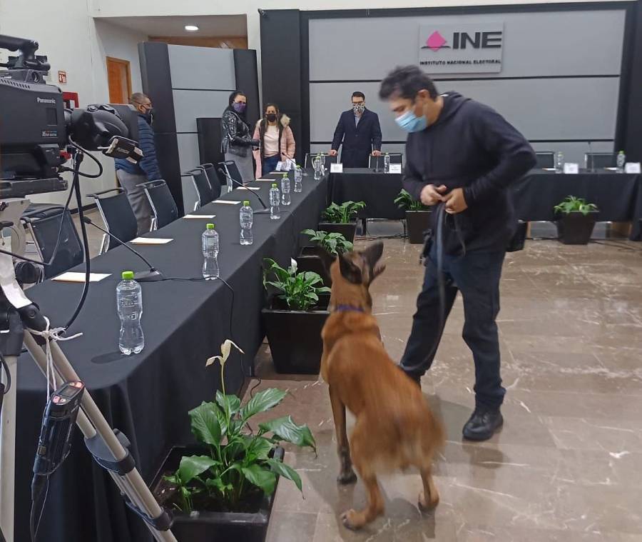 INE desmiente señalamientos sobre presuntos gastos en alimento para mascotas