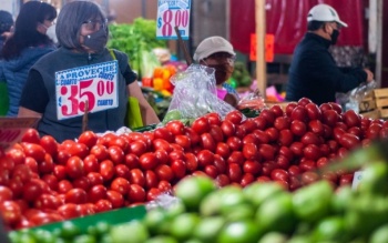 Diputada del PRI urge a Hacienda y Banxico medidas para reducir inflación