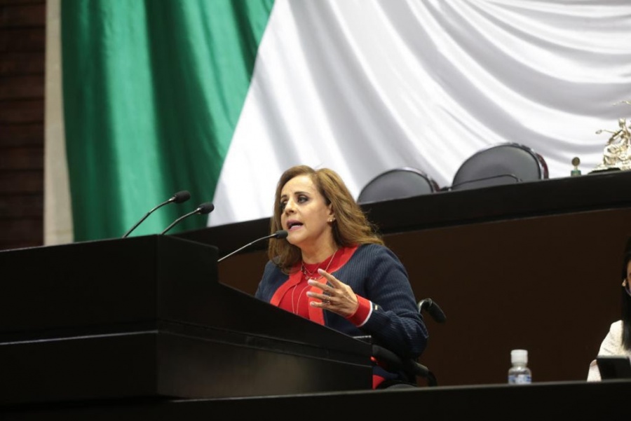 Letra muerta leyes que protegen derechos de disparatados, denuncia diputada del PRI