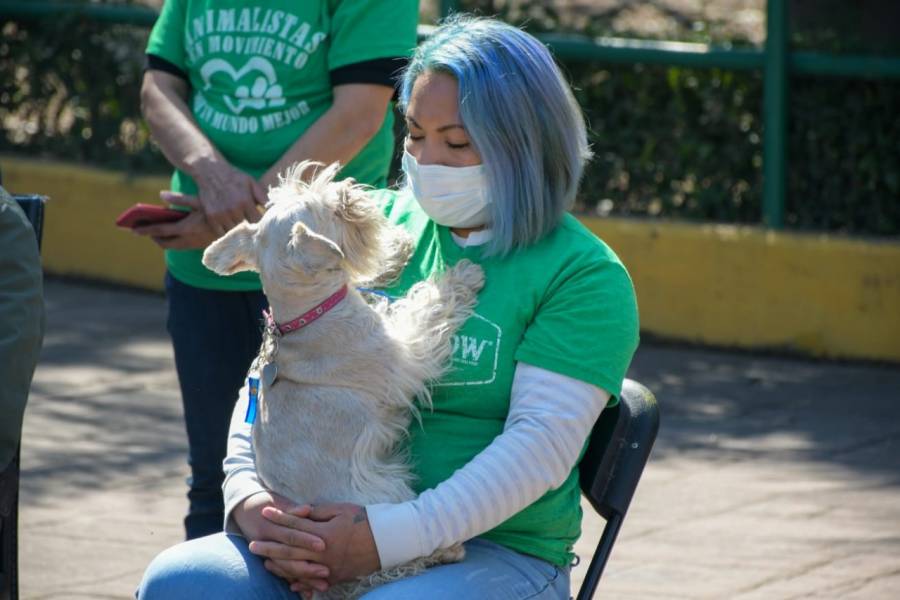 Crean en Unidad Municipal de Control y Bienestar Animal, en Neza
