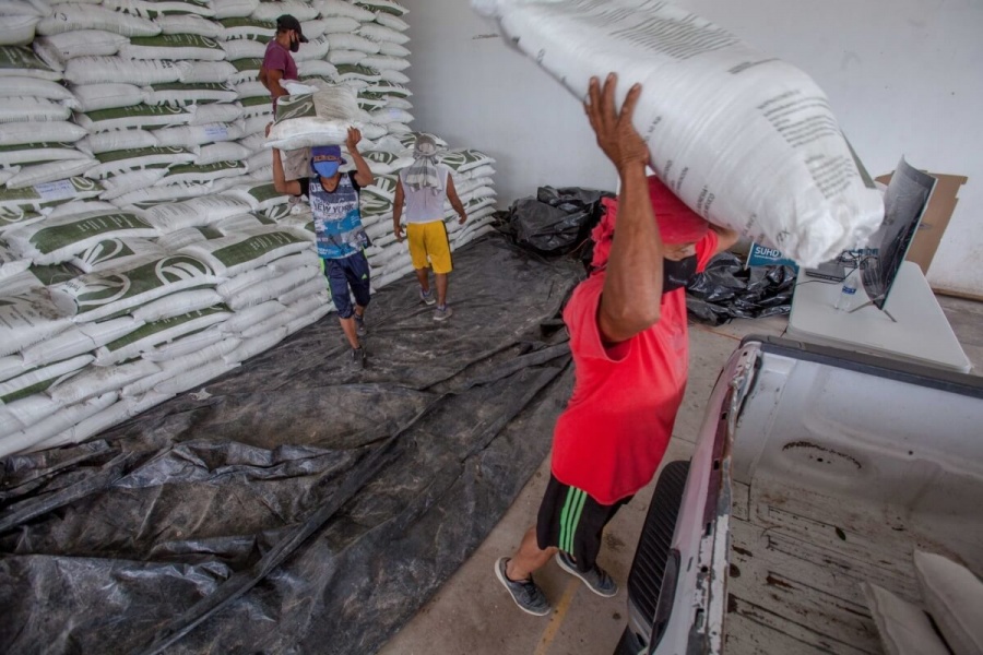 Senador pide redefinir política en materia de fertilizantes