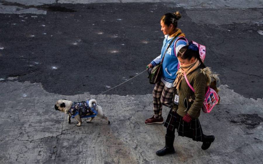 La SEP realizó la convocatoria de preinscripción para educación básica en la CDMX