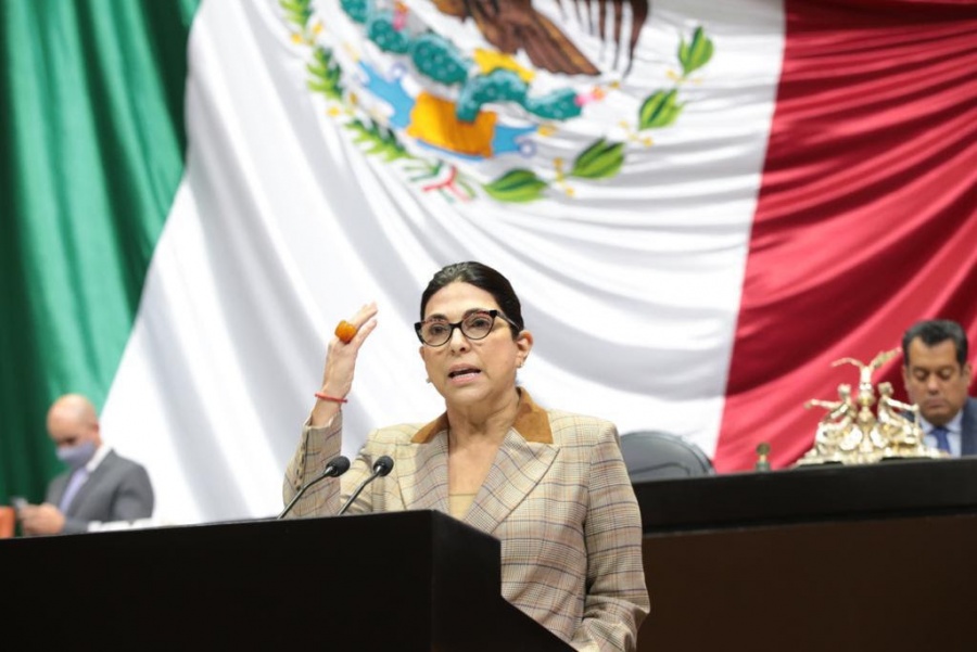 Diputada pide que impuesto verde lo paguen empresas contaminantes en Nuevo León