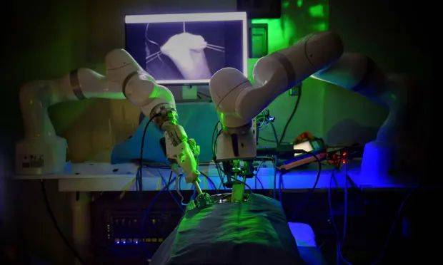 Robot realiza con &eacute;xito cirug&iacute;a en cerdos sin ayuda humana