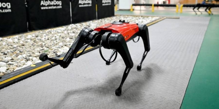 “Perros robot”, los nuevos vigilantes de la frontera entre México y EEUU