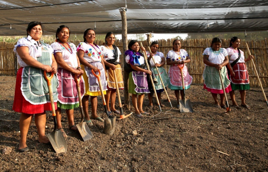 Aprueba Senado reforma para que mujeres del campo aseguren su patrimonio