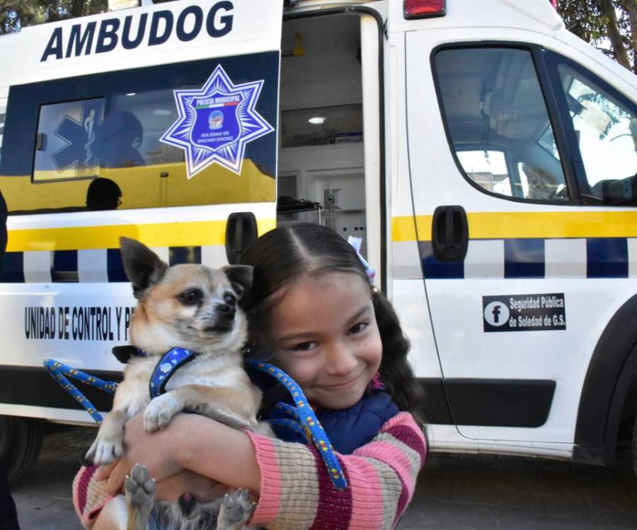 En Soledad ofrecerán atención médica gratuita para todas las mascotas
