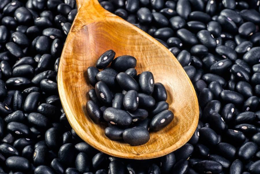 Crece 11.4% producción de frijol en 2021: Sader