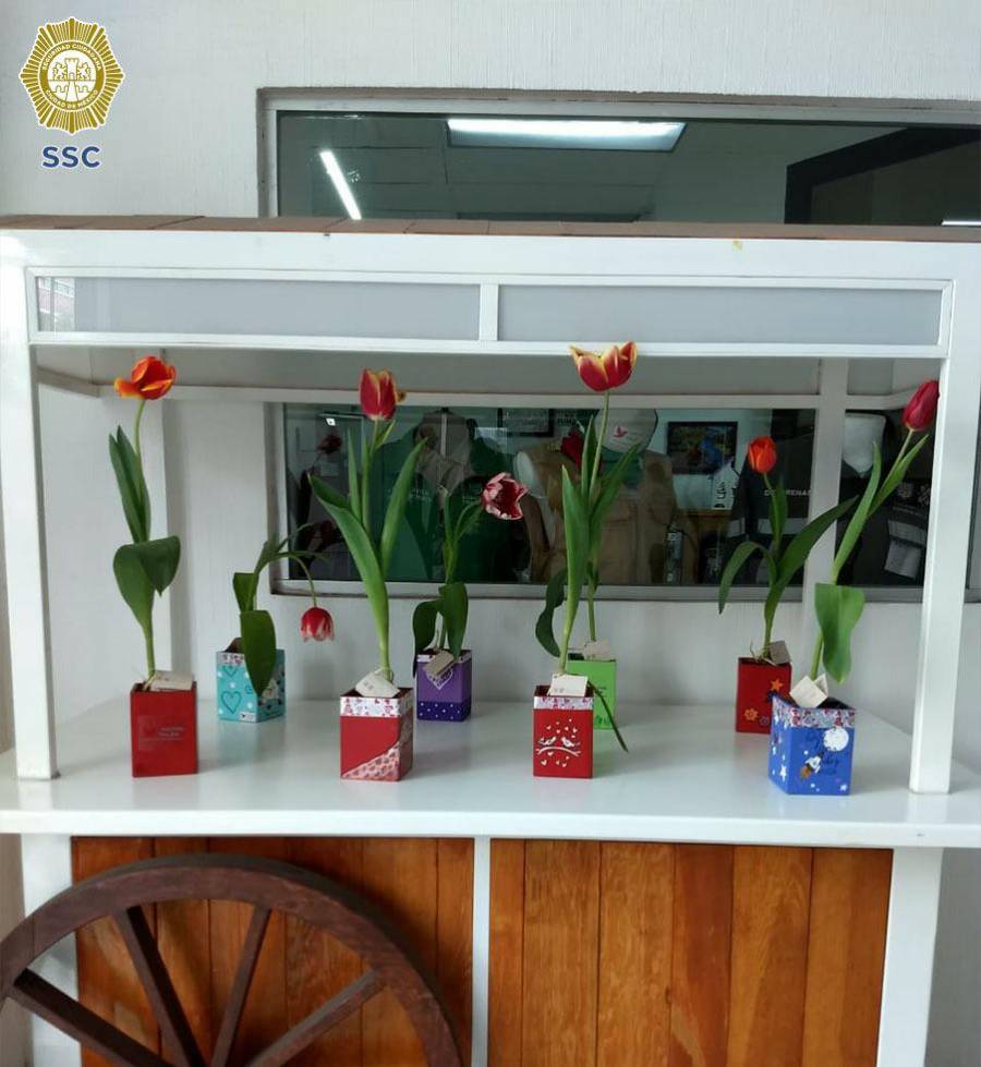 Tienda de sistema penitenciario, vende tulipanes y orqu&iacute;deas cultivadas por reclusos