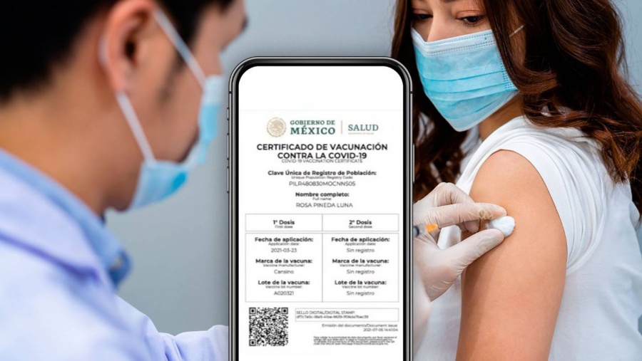 Llaman a castigar falsificación de certificados de vacunación de covid-19