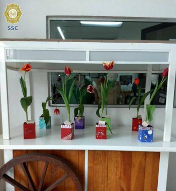 Tienda de sistema penitenciario, vende tulipanes y orquídeas cultivadas por reclusos