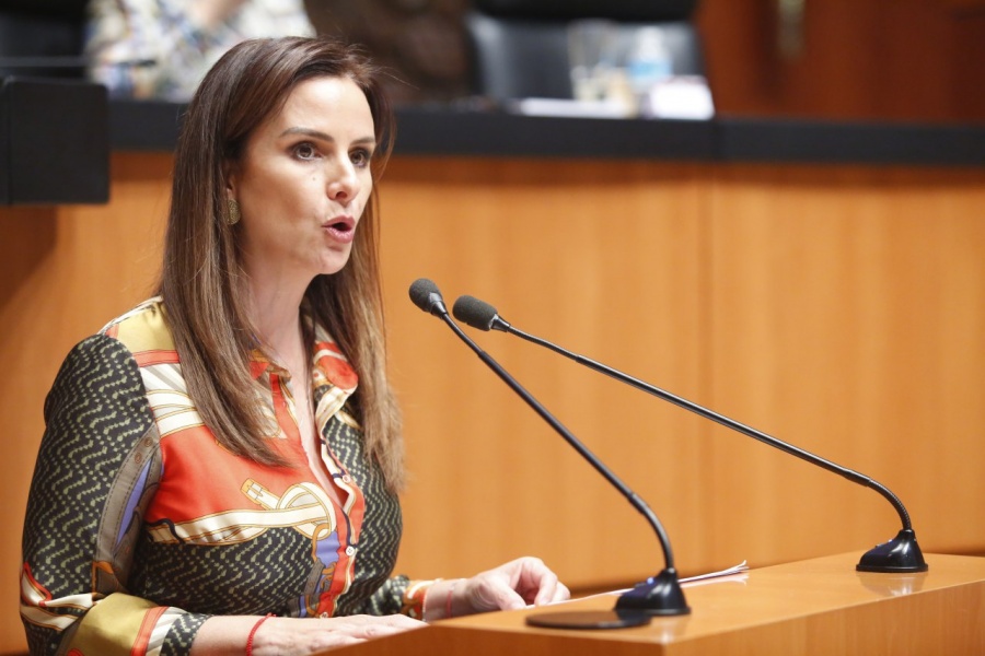Llaman a crear políticas públicas para garantizar  desarrollo de las familias