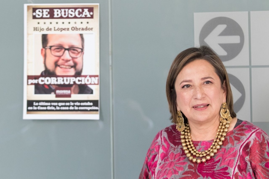 “¡Se busca!, senadores se enfrentan por Anaya e hijo de AMLO