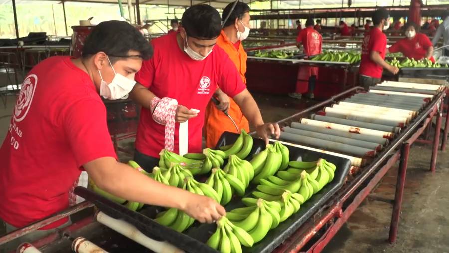 Japón, mercado estratégico para las exportaciones agroalimentarias mexicanas