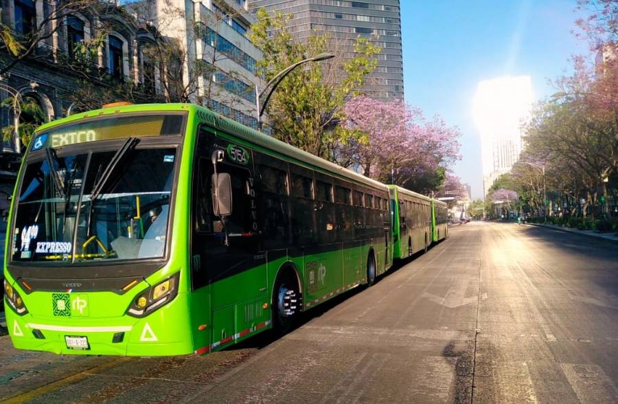 Aplicarán programa “Regreso seguro a casa” para el Vive Latino