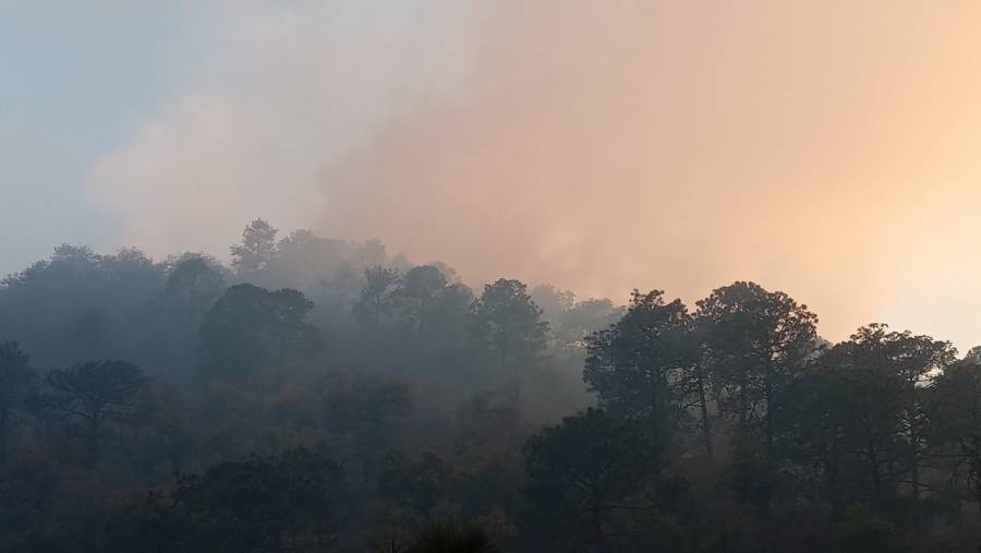 Se incendia la Sierra de Santiago, en Nuevo León