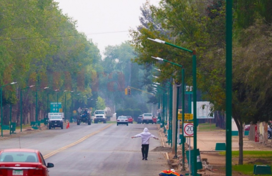 Reforestarán parque Tangamanga I con tres mil árboles