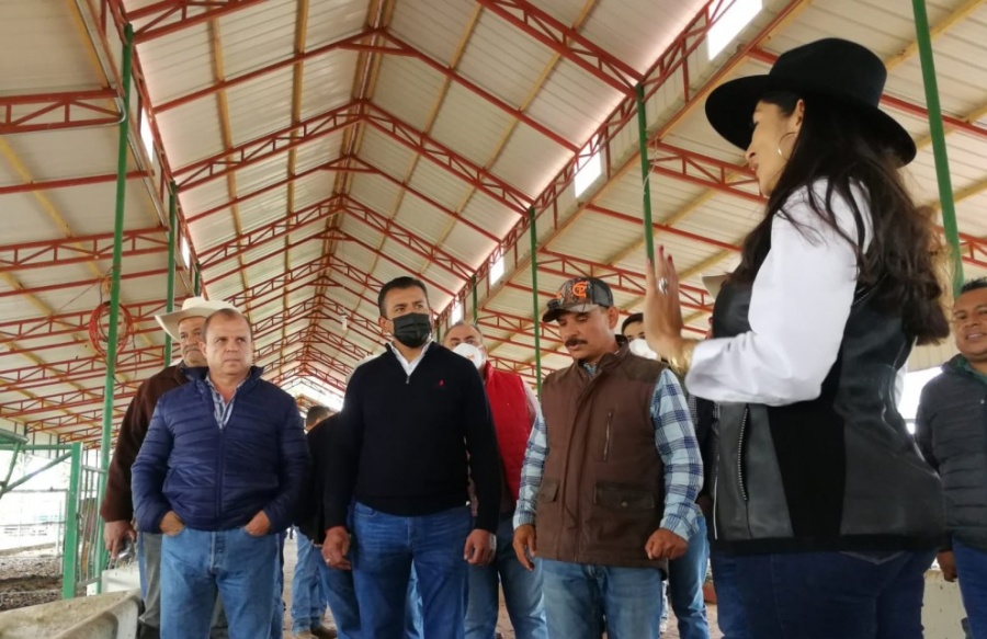 Gobierno pondr&iacute;a en marcha proyecto de mejora gen&eacute;tica