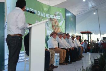 Agricultura pide unión para producción y comercialización de maíz