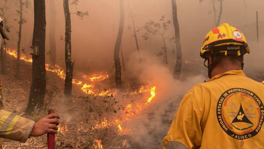 Reportan incendio en bosque La Primavera, en Jalisco