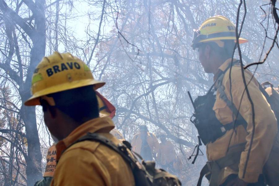 Tras incendio, prohíben acceso al cerro del Tepozteco
