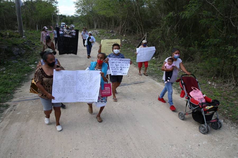PRD busca que ambientalistas sean incluidos en el mecanismo de protección