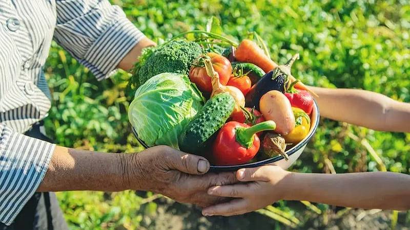 Cumple México con abasto nacional de alimentos y compromisos externos pese a coyuntura