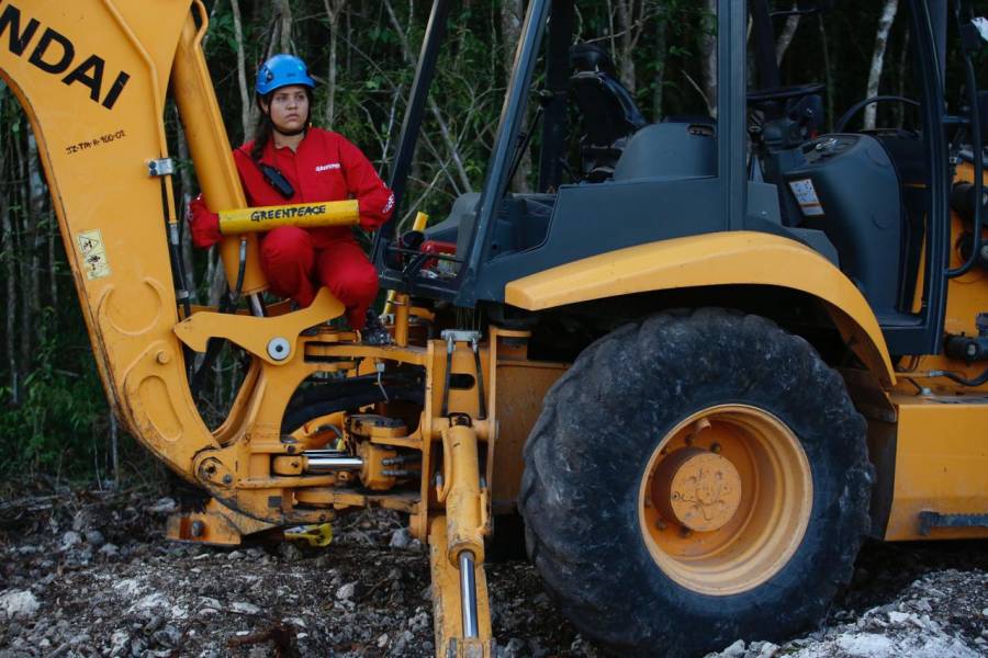 En protesta del Tren Maya, activistas de Greenpeace se encadenan a máquinas de construcción