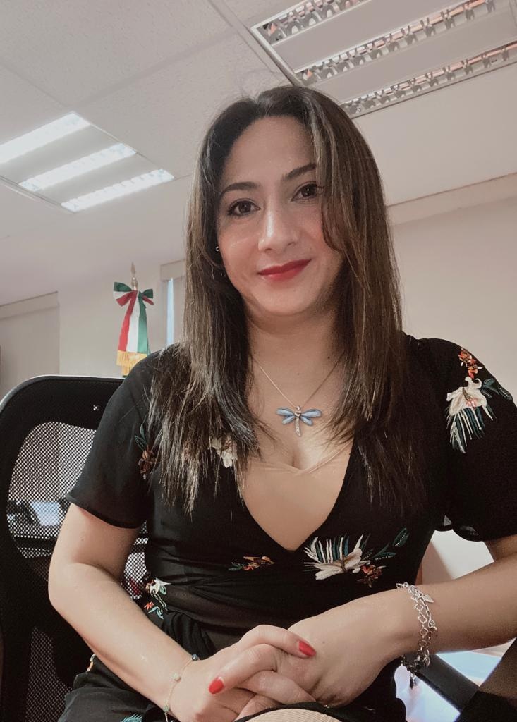 Llama lleana Hidalgo al Senado a elegir trayectorias no cuotas partidistas