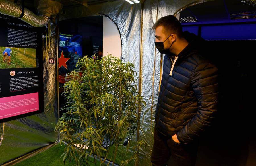Congreso de EEUU debate despenalizar la marihuana