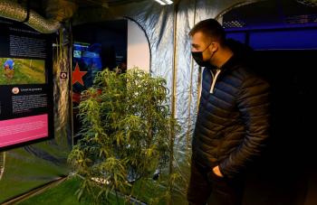 Congreso de EEUU debate despenalizar la marihuana