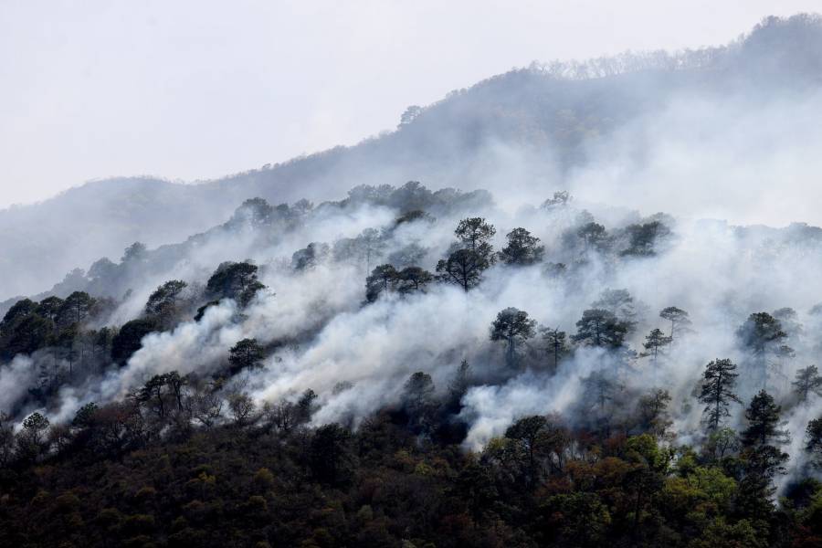 Gobierno CDMX exhorta a la población evitar incendios forestales