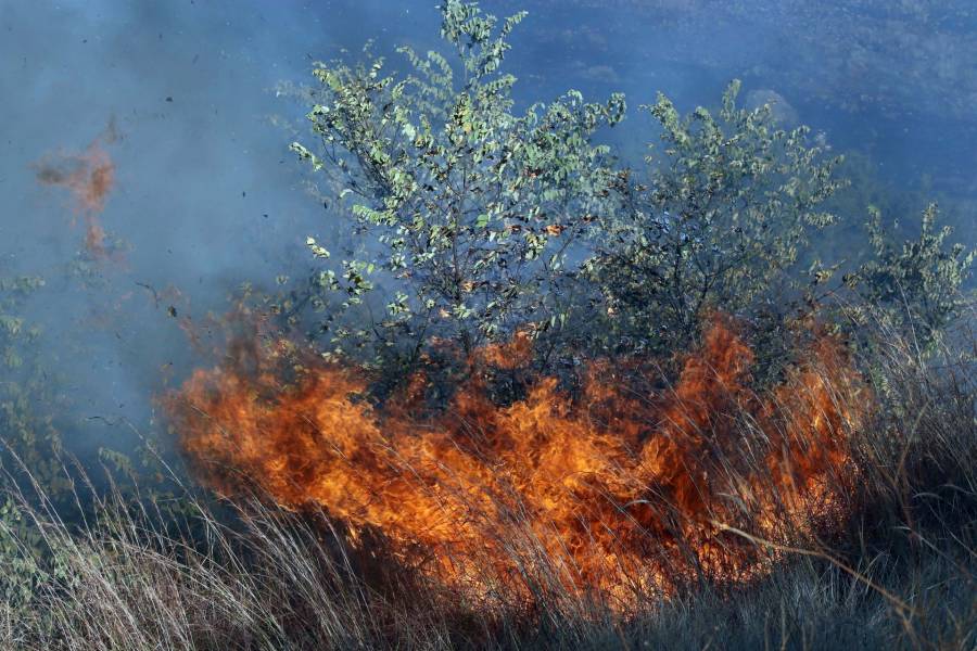 Incendios forestales provocan mala calidad del aire en la CDMX