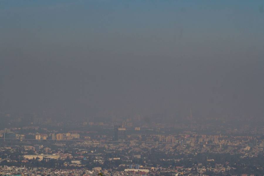 OMS advierte que casi 99% de la población respira aire contaminado