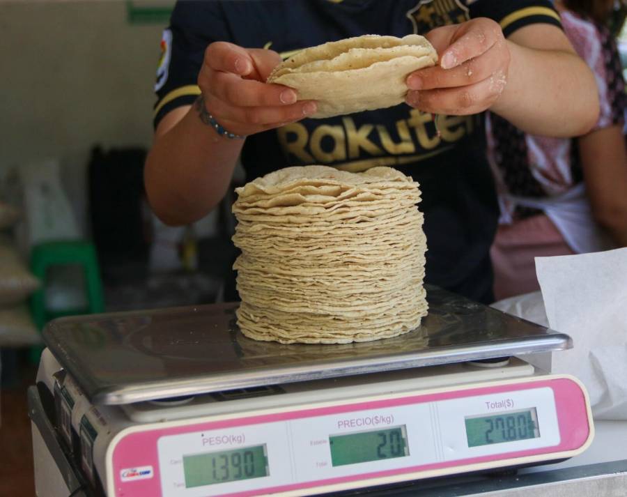 Kilo de tortilla, por arriba de los 20 pesos