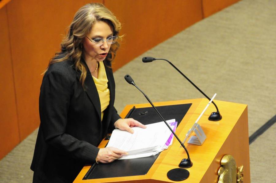 INAI, comprometida con la defensa de las personas: Ibarra Cadena